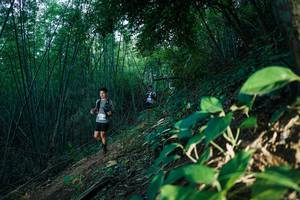 BIB: 
                            <button type="button" onclick="openModal(28124401)" class="btn btn-primary btn-sm float-right btn-popup" data-toggle="modal" data-target=".modal-high-quality">
                        <i class="fas fa-shopping-cart"></i> Add to Cart
                    </button>
                                            <button type="button" onclick="isThisMe(28124401, true)" class="btn btn-success btn-sm float-right btn-popup btn-isme hidden" data-toggle="tooltip" data-placement="bottom" title="นี่คือรูปของคุณใช่ไหม คลิกที่นี่เพื่อเอาเข้าอัลบั้ม">
                        <i class="fas fa-plus"></i> Add to album
                    </button>
                    <button type="button" onclick="isThisMe(28124401, false)" class="btn btn-warning btn-sm float-right btn-popup btn-isnotme hidden">
                        <i class="fas fa-ban"></i> Remove from album
                    </button>